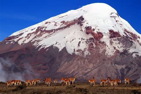 Chimborazo Volcano 2-Day Hike from Riobamba - Civitatis.com