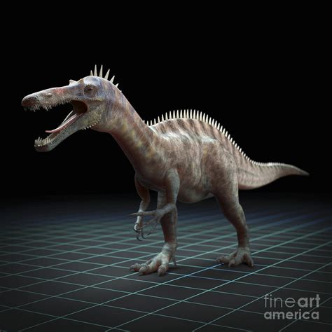 Dinosaur Suchomimus Photograph by Science Picture Co