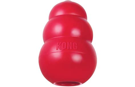 KONG®: Dog & Puppy Products | PetSmart