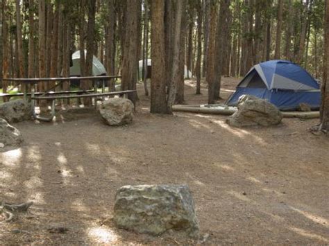 Canyon Campground - Yellowstone National Park - Campgrounds in this region - Canyon Region ...