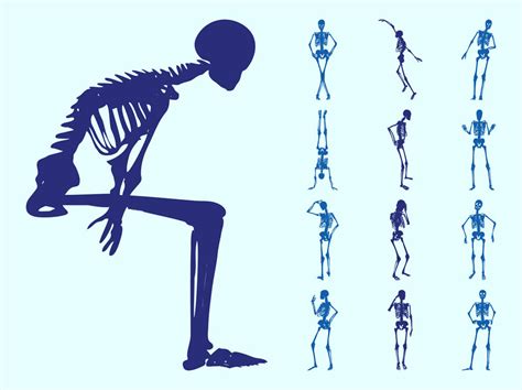 Human Skeletons Silhouettes Vector Art & Graphics | freevector.com