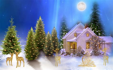 Hình nền hình nền noel cây thông với đủ màu sắc và kiểu dáng cho lựa chọn