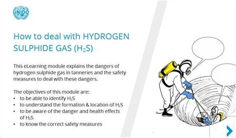 UNIDO on-line course - How to deal with hydrogen sulphide gas | Leather ...