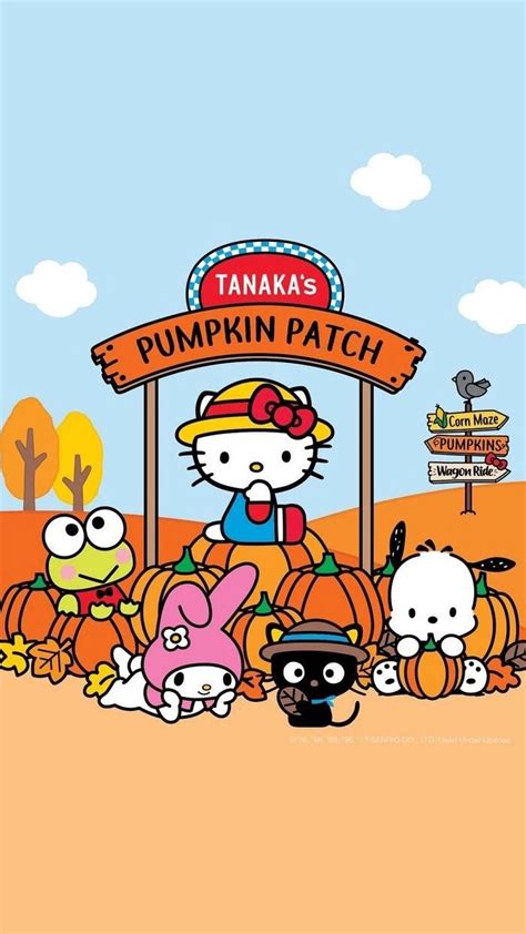 Pin by Pankeawป่านแก้ว on Wallpaper sanrio | Hello kitty halloween ...