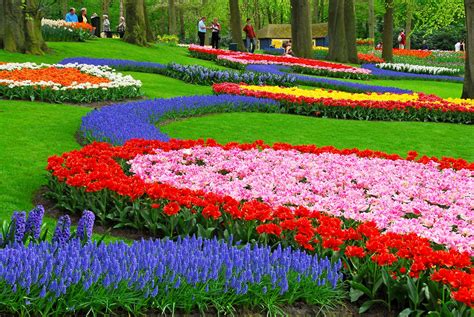 Exciting Color: Colorful Keukenhof Tulip Gardens:10 Colorful places to ...
