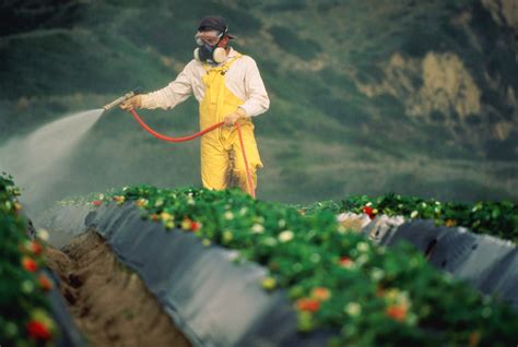 Pesticides are “global human rights concern”, say UN experts urging new treaty | Society for the ...