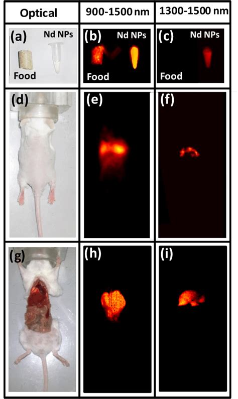 (Left Column). Optical images of a mouse food pellet and an Eppendorf ...