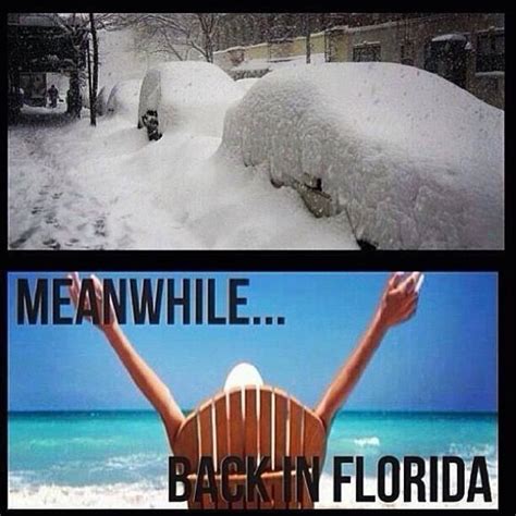 Funny Cute Pics | Florida weather humor, Florida, Florida funny