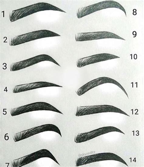 How To Draw Different Eyebrow Shapes at How To Draw