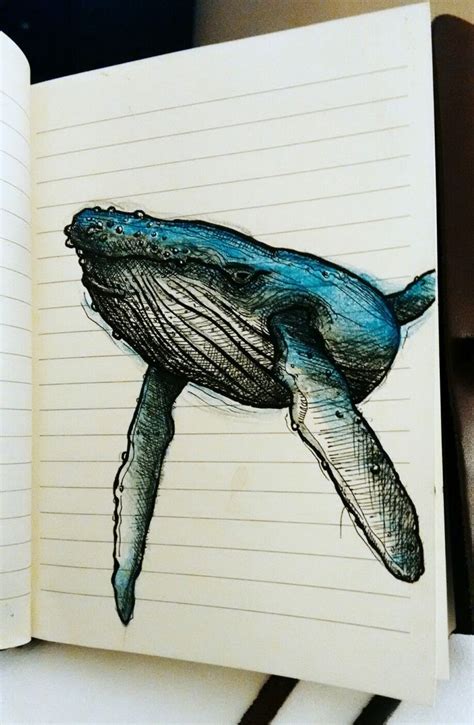 Ballena Jorobada Tinta y Lápiz de Color Artista: Jorge Becerra | Arte ...