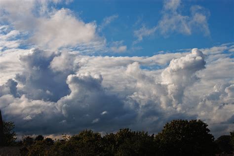 Summer cumulo-nimbus clouds building over the treeline | Skies And ...