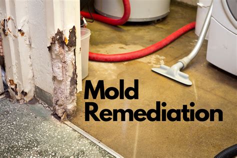 Mold Removal Services in Montgomery, AL - Bio-One of Montgomery