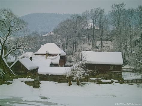 Houses in Snow