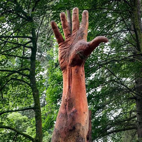 Tallest Tree Transformed into Chainsaw Art – Simon O’Rourke – DFW Craft ...