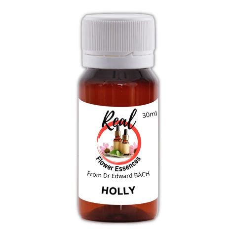 Buy Holly 30ml Online at Low Prices in India - Amazon.in