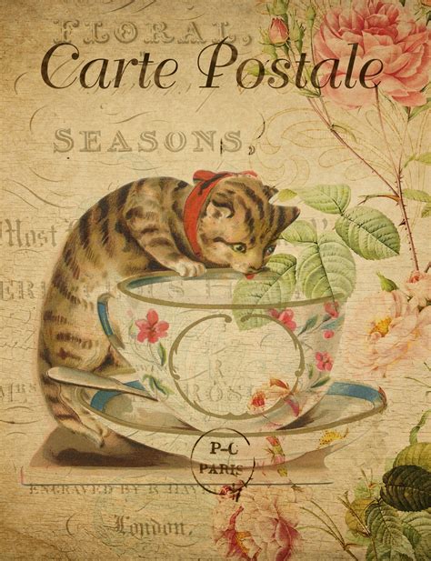 Cat Vintage French Postcard Free Stock Photo - Public Domain Pictures