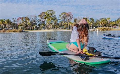 My Guide to Booking the Best Manatee Tours in Crystal River, Florida