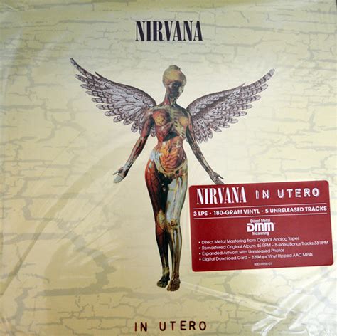 Nirvana In Utero | Daniel Hartwig | Flickr