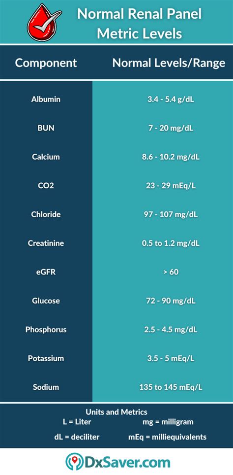 Get Lowest Kidney Function Tests (Renal Panel) at $39 | Kidney Disease Symptoms & Treatment ...