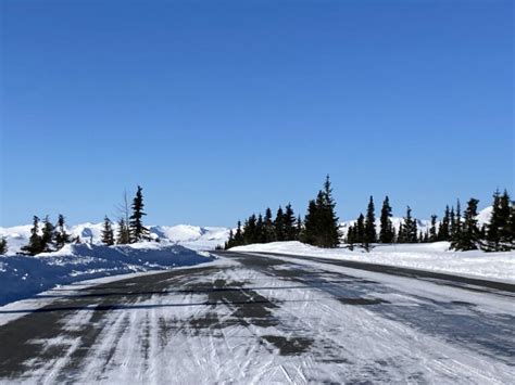 How to visit Denali National Park in Winter - Ordinary Adventures