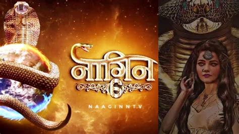 Naagin 6 : Who will be the New Naagin? Season 6 is coming soon.