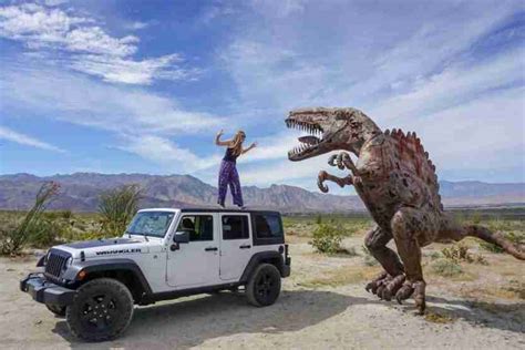 Camping at Anza Borrego State Park: Everything You Need to Know - Ready, Set, PTO