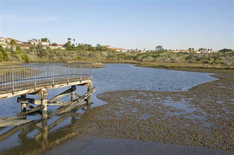 Cabrillo Coastal Park | Cabrillo Marine Aquarium