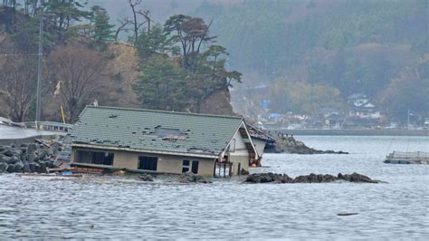 Japan: Resilience of fisheries following Tohoku tsunami | Tsunami Day