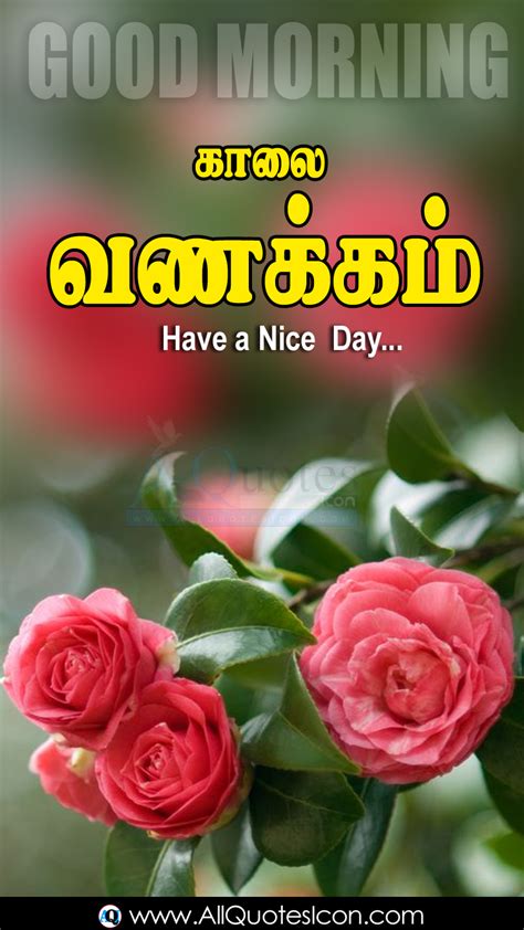 Happy Saturday Images Best Good Morning Greetings in Tamil Top Best ...