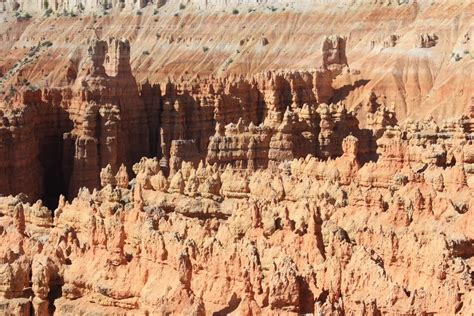 "Hoodoo" stone formations stand tall at Bryce Canyon National Park, Utah. | Smithsonian Photo ...