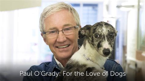 Paul O'Grady: For the Love of Dogs - Where to Watch and Stream - TV Guide