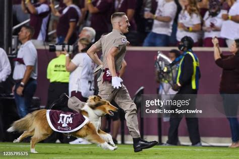 Aggie Mascot Photos and Premium High Res Pictures - Getty Images