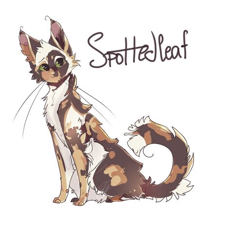 Spottedleaf|Warrior Cats by VictoriaTory2020 on DeviantArt