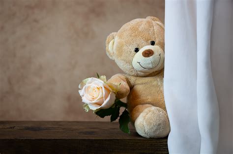 847 Wallpaper Love Teddy Bear For FREE - MyWeb