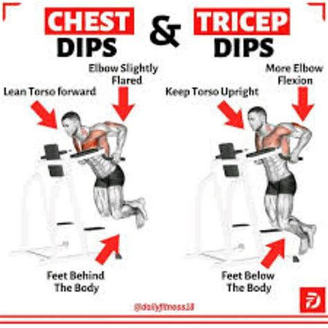 Dips by Uncle Heiko S - Exercise How-to - Skimble Workout Trainer