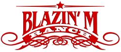 Blazin' M Ranch - Arizona Attractions