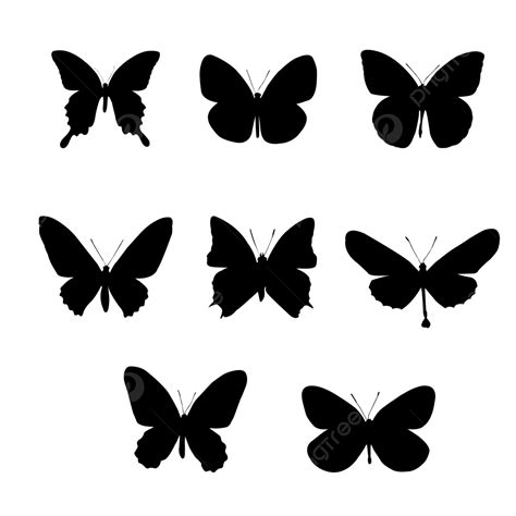 Butterfly Insect Black Color Silhouette, Butterfly, Butterflies ...