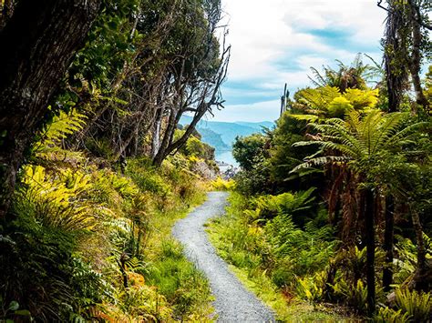 Top 5 things to do on Stewart Island - New Zealand Trails