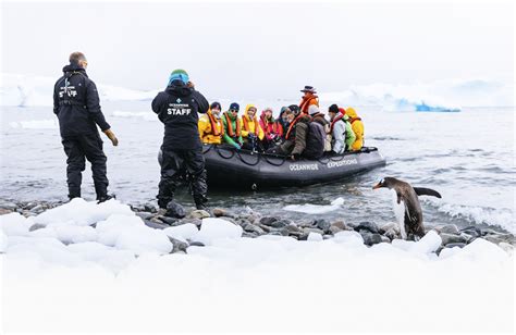 Antarctic Peninsula - Cruises, Expeditions & Trips