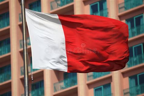 Flag Of Dubai Stock Photo - Image: 20890970