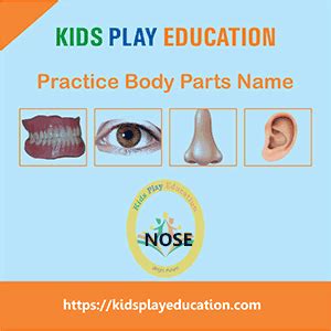 Practice and Learn of Animals Name - Kids Play Education