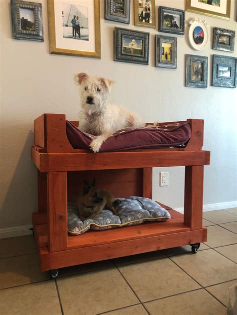 Dog Bunk Bed - Etsy