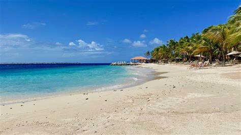 How to Visit Bonaire Right Now Caribbean Journal