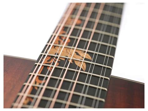 Taylor Custom Grand Concert 12 Fret Koa #37 | guitarguitar