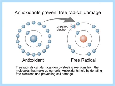 Free Radical Damage of Skin - Medical Detective MD