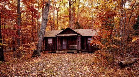 Tennessee Fall Foliage Draws Vacationers to Smoky Mountains