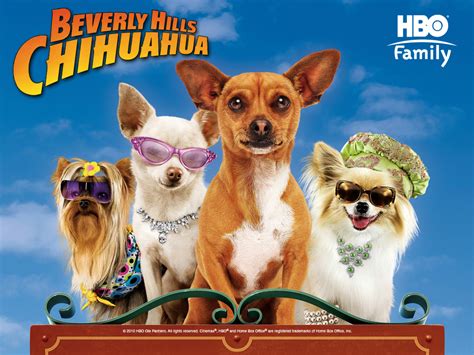 Beverly Hills Chihuahua - Beverly Hills Chihuahua Wallpaper (41602058 ...