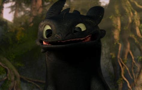 Toothless - Full Smile by TheBandicoot on DeviantArt