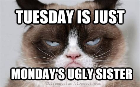 Pin on Holidays/Seasons/Days | Tuesday quotes funny, Tuesday quotes good morning, Tuesday quotes