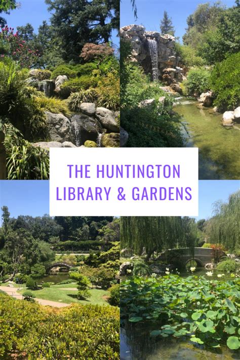 Huntington Library Free Day What To Know Before You Go - LA Dreaming